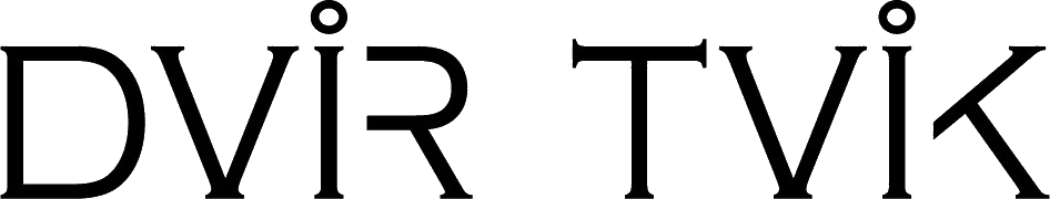 Dvir Tvik Logo